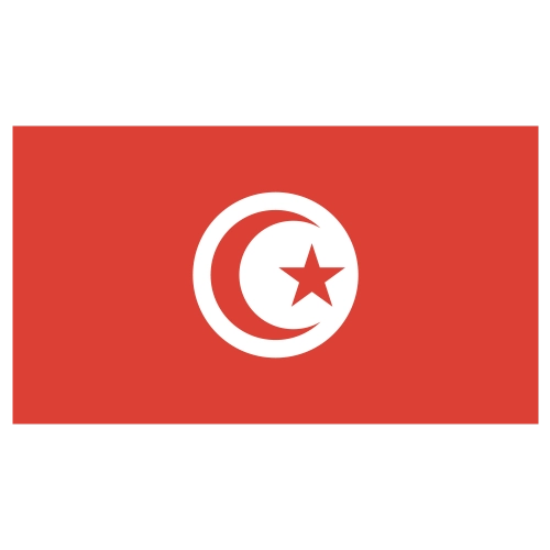 Longfu88-world_cup-2026-fl-tunisia